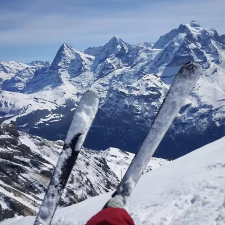 Modern 모던 * Interlaken