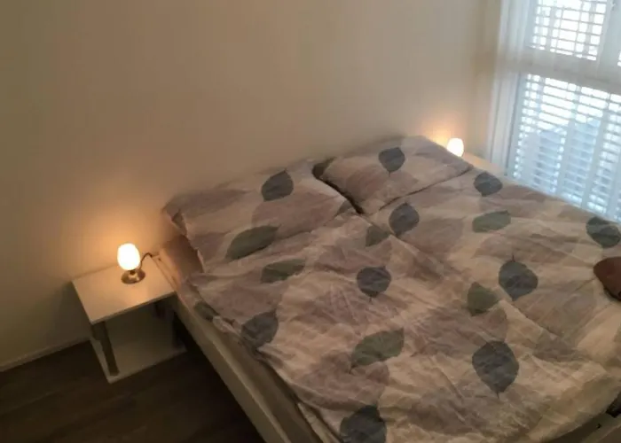 Modern 모던 Entrelagos