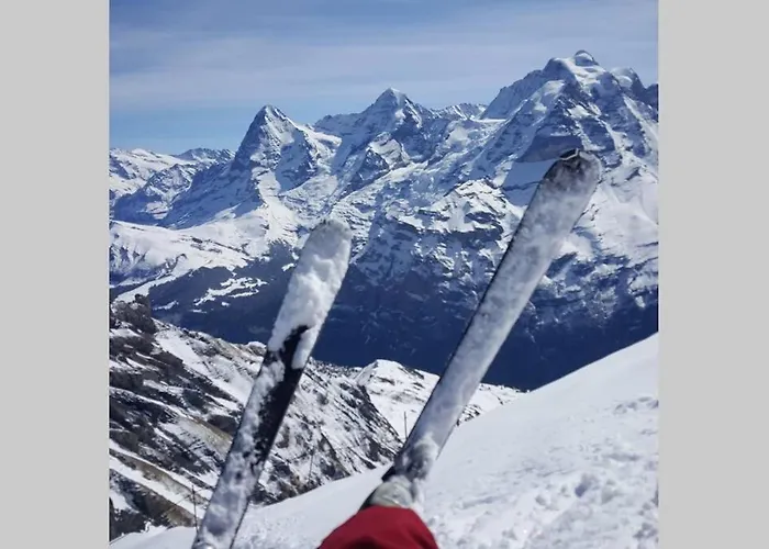 Modern 모던 * Entrelagos